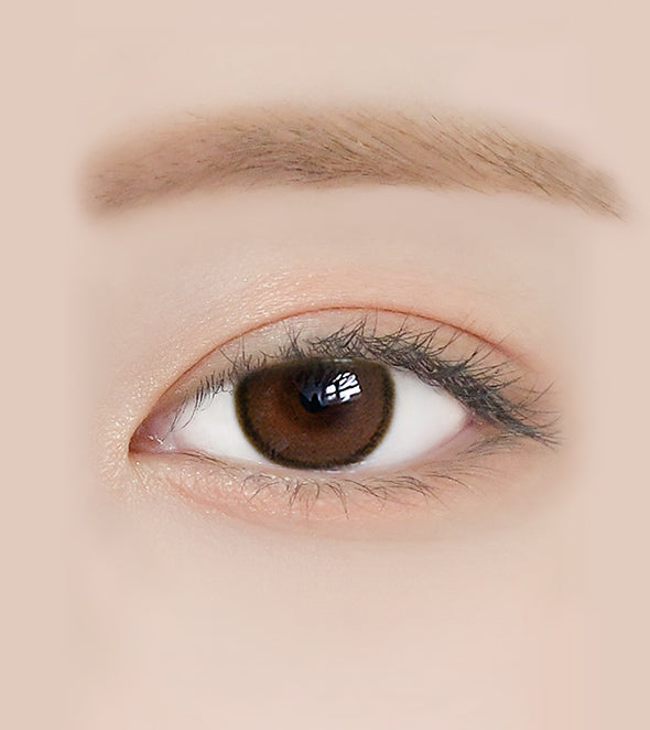 LENSRANG Daylook 1Day Choco - IM OLOLA