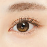 Oriana Edge Plus 1day Shade Brown - IM OLOLA