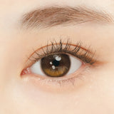 Oriana Edge Plus 1day Shade Brown - IM OLOLA