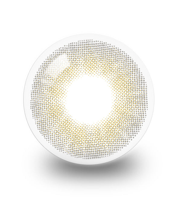 A.ble 1day Gray - IM OLOLA