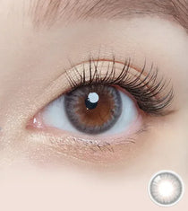 Dazzling 1day Ice Gray - IM OLOLA