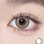 Glint 1day Brown - IM OLOLA