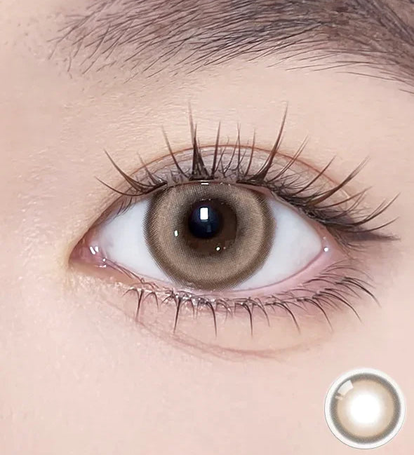 Glint 1day Brown - IM OLOLA