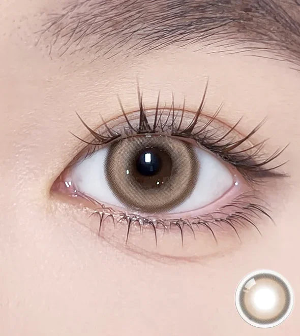 Glint 1day Brown - IM OLOLA