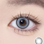 Glint 1day Gray - IM OLOLA