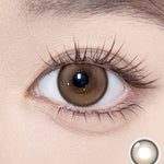 Meow 1Day Coon Brown - IM OLOLA