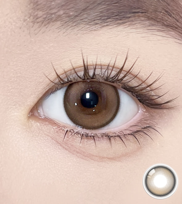 Meow 1Day Coon Brown - IM OLOLA