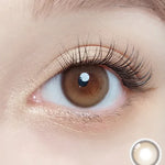 Purity Shine 1day Hazel Brown - IM OLOLA
