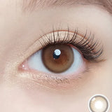 Purity Shine 1day Hazel Brown - IM OLOLA