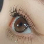 Purity Shine Taupe Brown