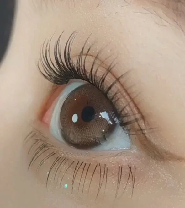 Purity Shine Taupe Brown